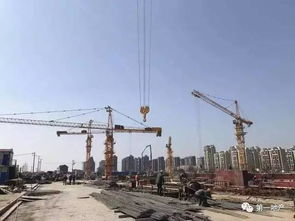 泗涇房屋建設(shè)工程施工新動態(tài) 規(guī)劃藍(lán)圖邁向現(xiàn)實