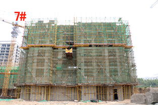 隆基泰和紫金府精品住宅最新施工進(jìn)度一覽