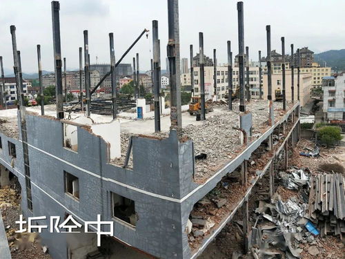 違法私建廠房偽造印章，某家具廠“任性”施工引關注